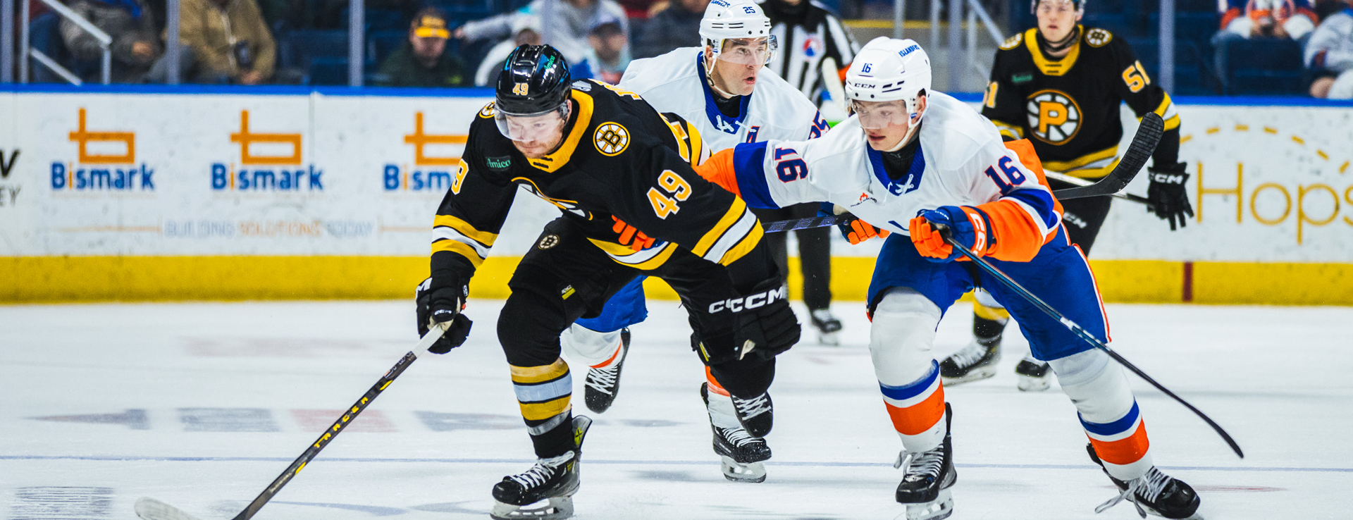 Game Day: Islanders vs. Bruins