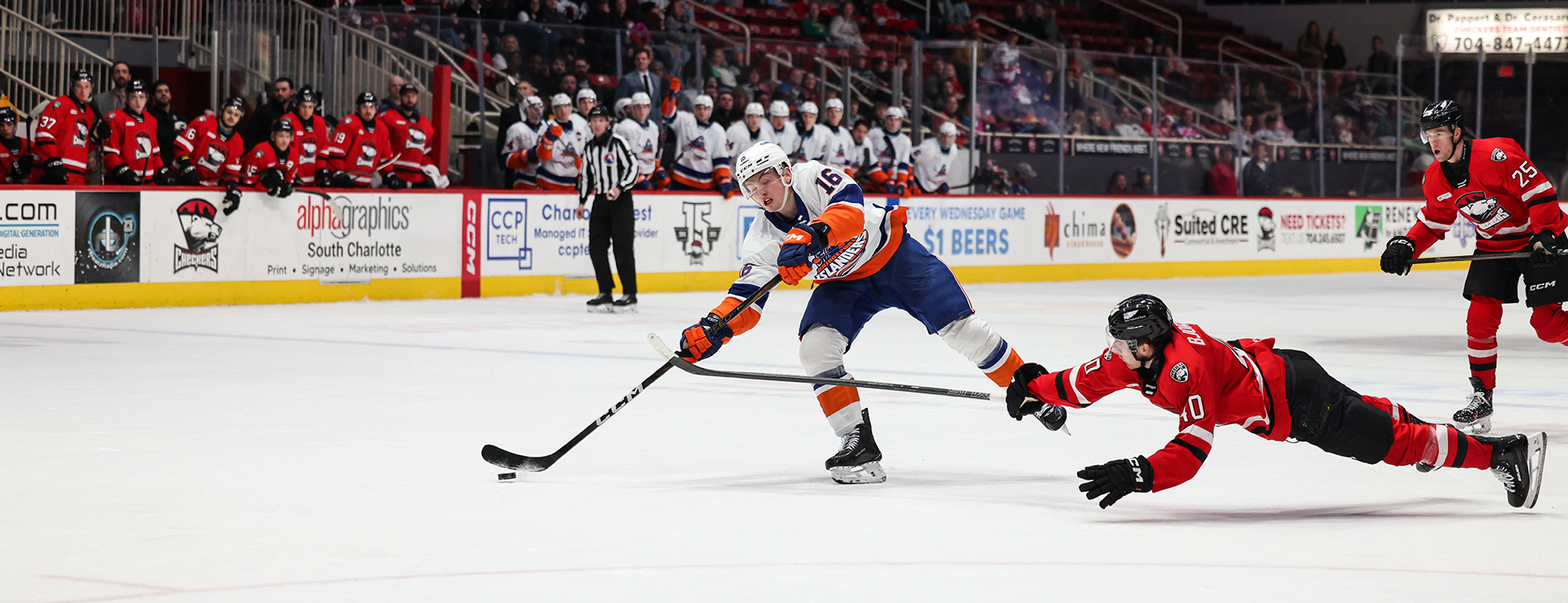 Recap: Islanders 4, Checkers 1