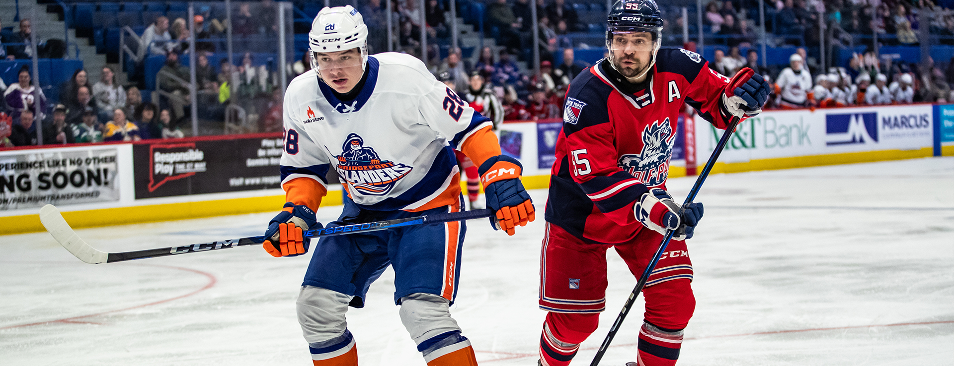 Wolf Pack thump Islanders, 6-3 | Pro Hockey News